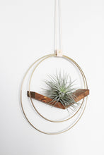 Load image into Gallery viewer, Braid & Wood Design Studio - Large V Hanger