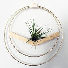 Load image into Gallery viewer, Large V Plant Hanger